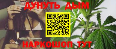 сатива Кандалакша