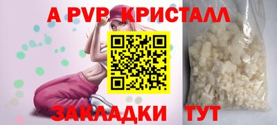 сатива Кандалакша