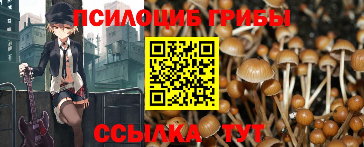 Балашов  Псилоцибиновые грибы Magic Shrooms  Вход с VPN  Галлюциногенные грибы мицелий 
